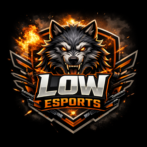 LOW ESPORTSS