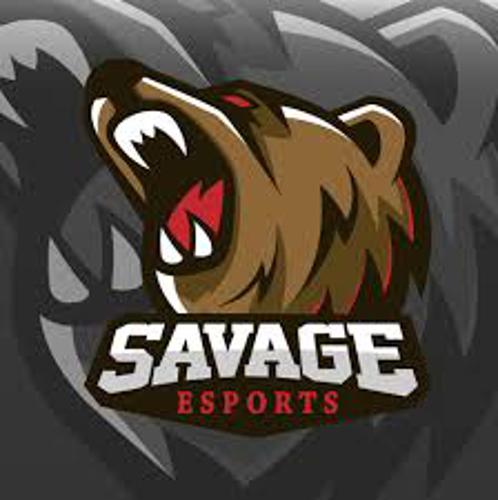 Savage Esports