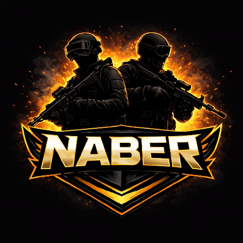 N么BER