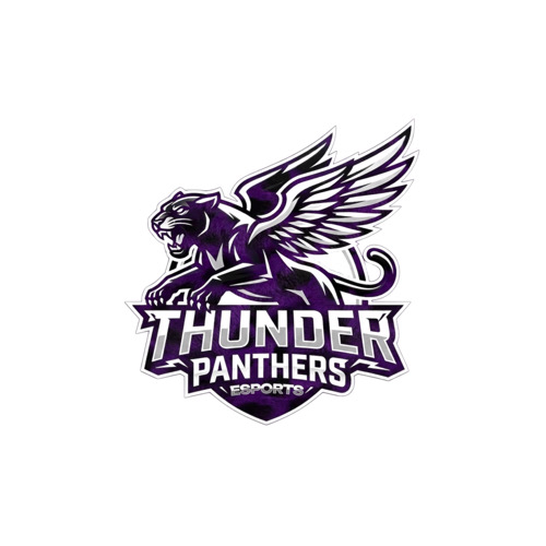 Thunder Panthers Esp