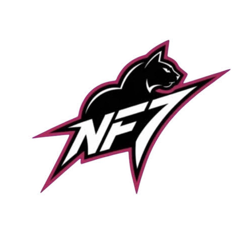 Nightfall7 Esports