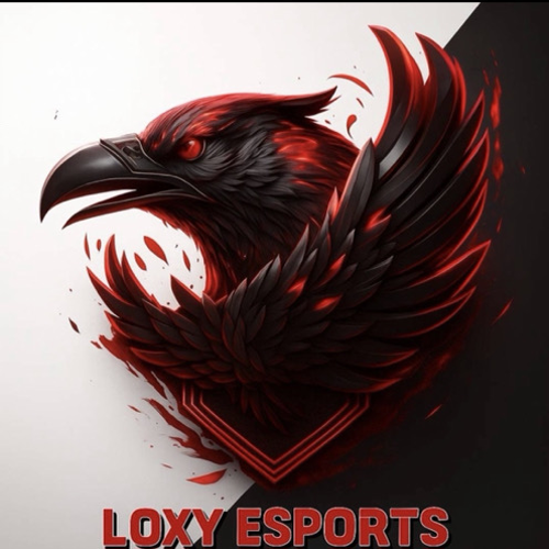 LOXY ESPORTS
