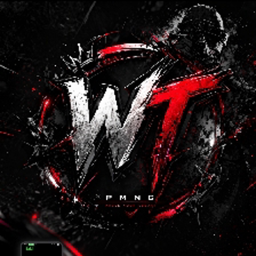WT ESPORT