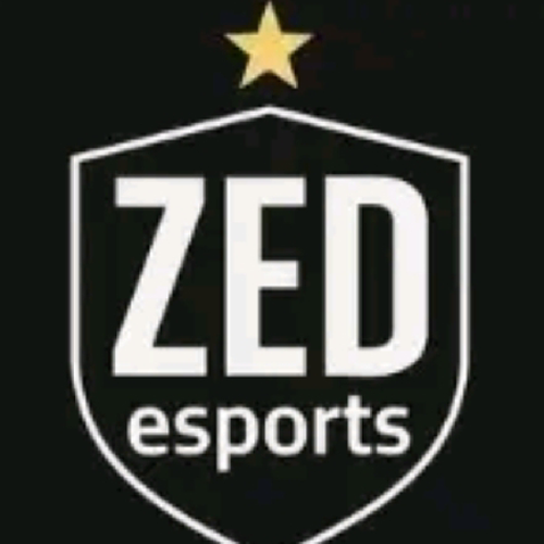 Zed E sports