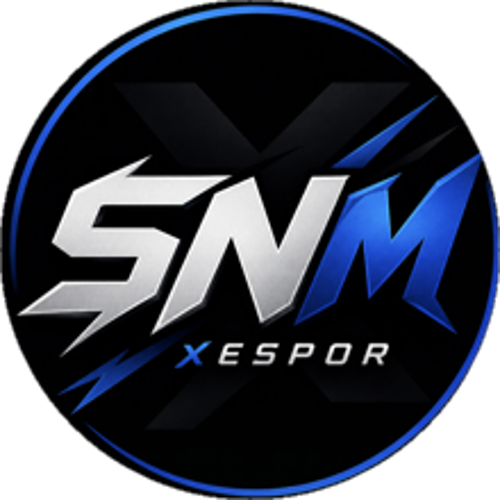 SNMxTEAM
