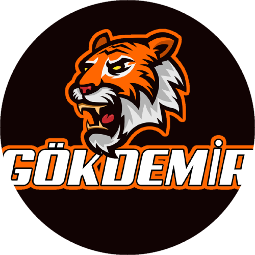 GKDMR ESPORTS