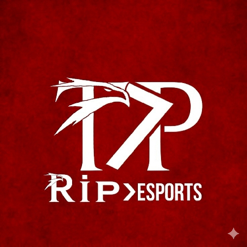 RİP E-Sportss