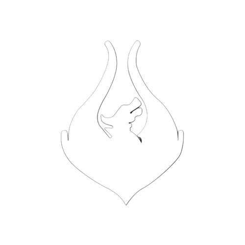Team Phoenix AC