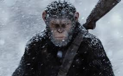 monki special forces