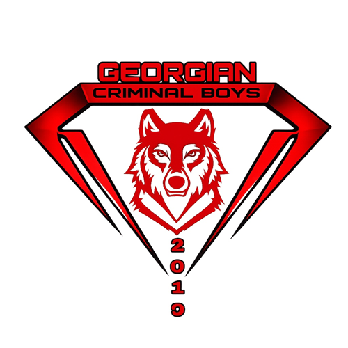 CRİMİNAL BOS 2019