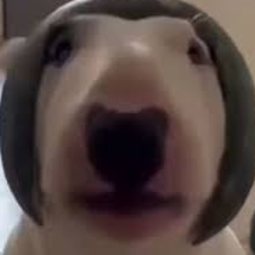 ONETAPv2