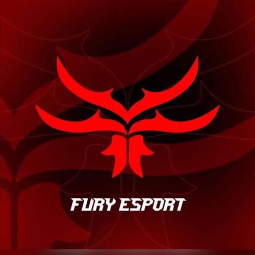FRY ESPORTS
