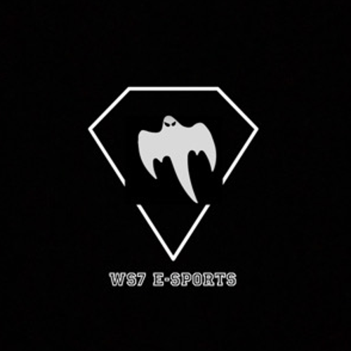 WS7 ESPORT