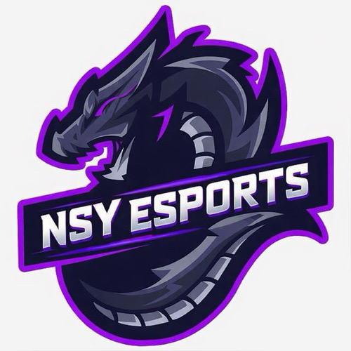 NSY E SPORTS