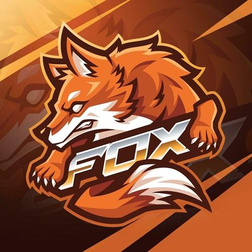 TeamFox