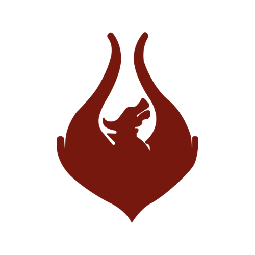 Team  Phoenix
