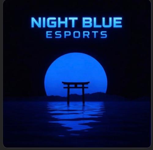 NIGHT BLUE ESPORTS