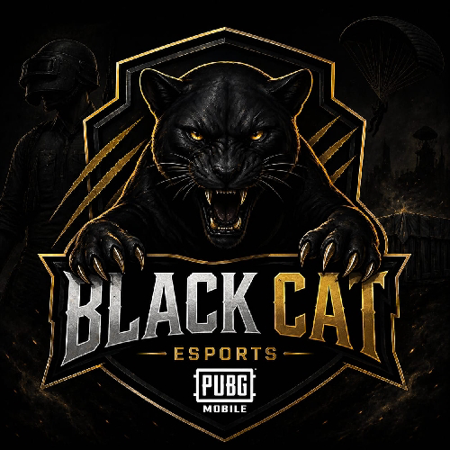black cat esports