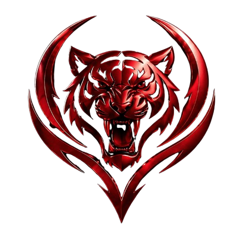 DX-ESPORTS