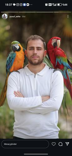 Yühabre