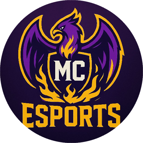 7SS ESPORTS