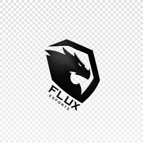 FLUX Esport