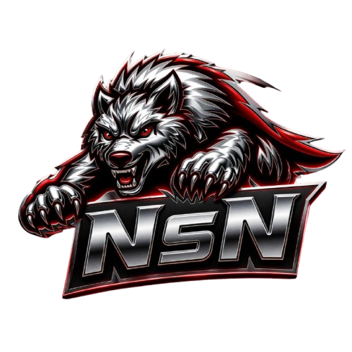 NSN ESPORTS