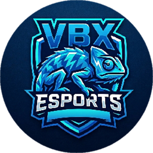 Vibe esports