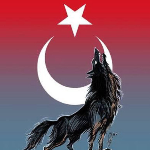 Bozkurt_
