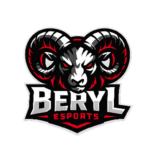BERYL ESPORTS