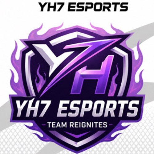 YH ESPORTS