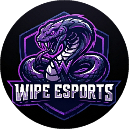 WİPEE ESPORTS