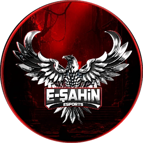E-ŞAHİN  ACADEMY