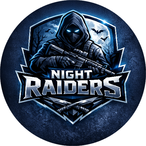 NİGT RAİDERS E SPOR