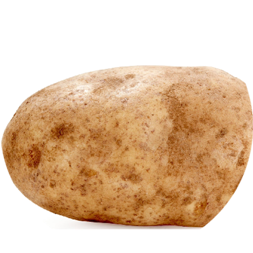 PATAES