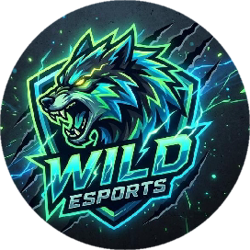 WİLD E-SPORTS