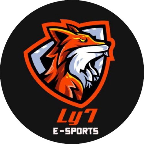 LY7 ACADEMY