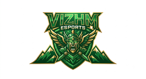 VIZHM ESPORTS