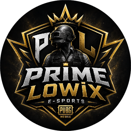 PRİME LOWİX E-SPORTS