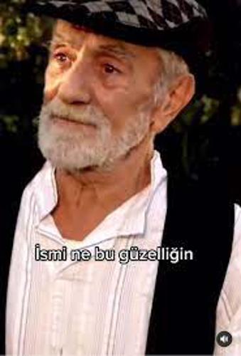 Beyaz Saray