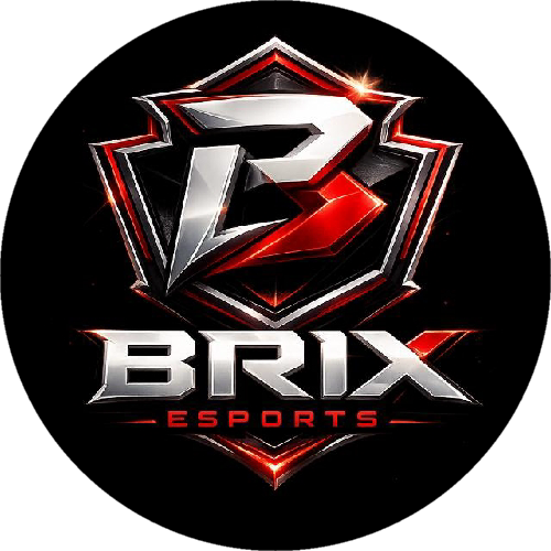 BRİX E-SPORTS