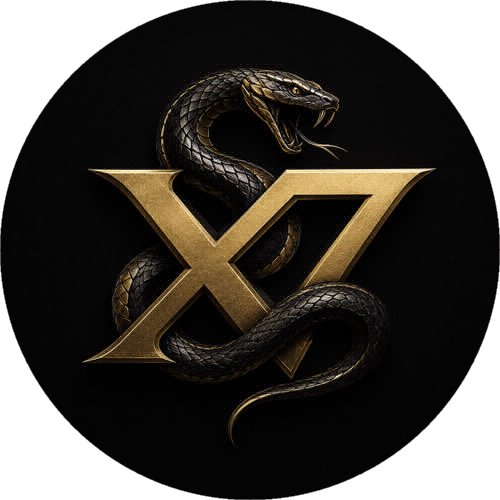 X7 ESPORTSSSS