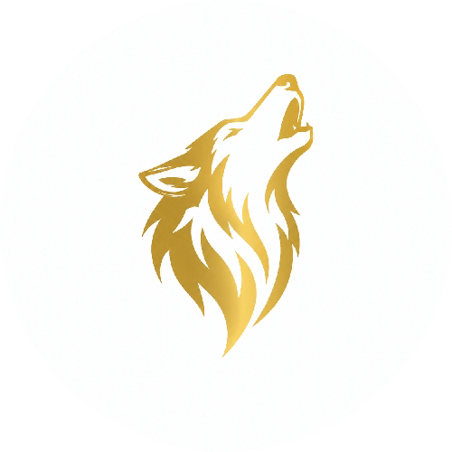 VV4 ESPORTS