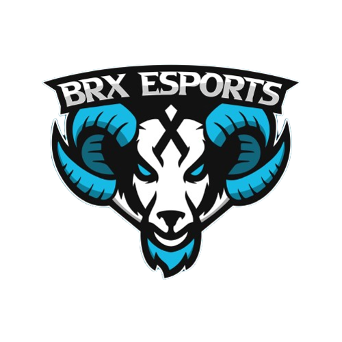 BM ESPORTSs
