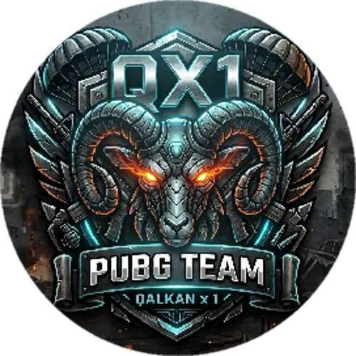 QX1 ESPORTS