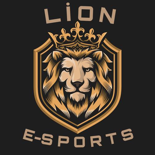 LİON GaMinG