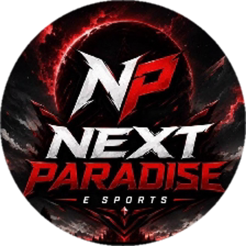 NP ESPORT