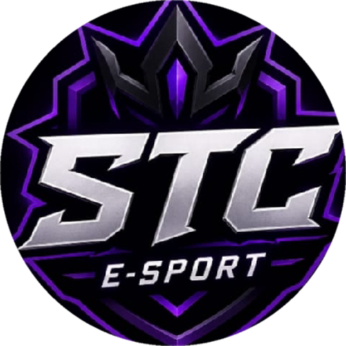 stc e-sports31