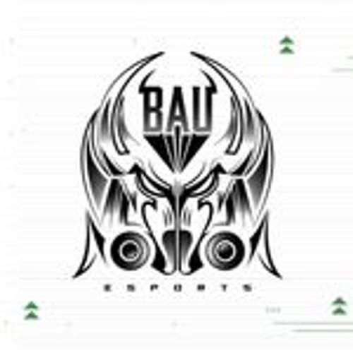 BAU eSports