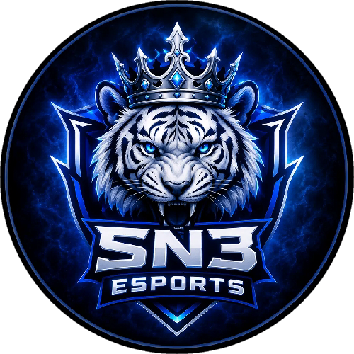 SN3 ESPORTS